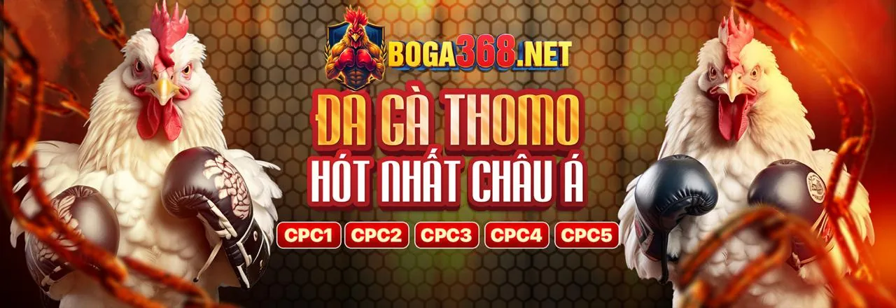 Đá Gà Trực Tuyến abc88 Chính Thức